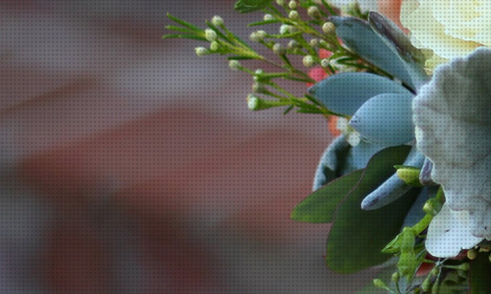 Construction HTML Template