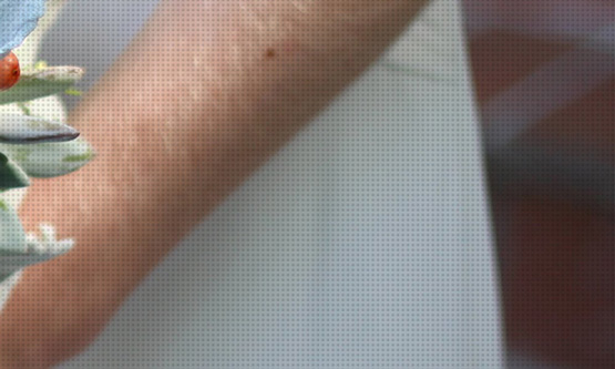 Construction HTML Template